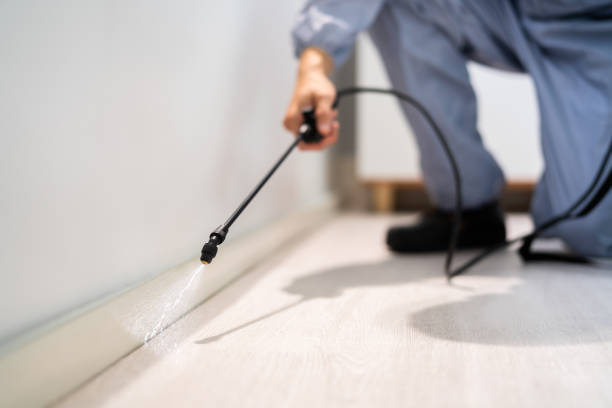 Licensed Termite Control service in Fallon County County, MT - Nex Pest Control
