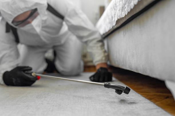 Professional Termite Control technician working in Fallon County County, MT